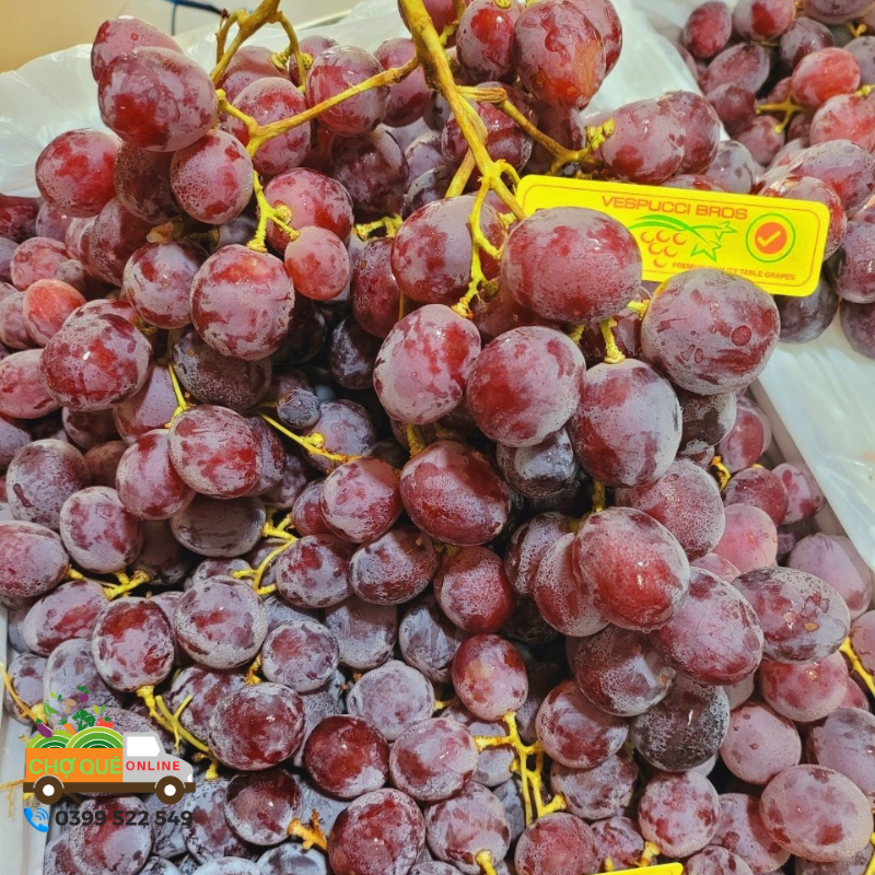 Nho đỏ &Uacute;c c&oacute; hạt