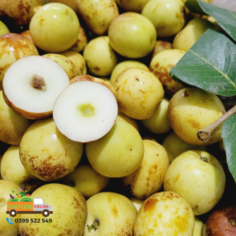 T&aacute;o t&agrave;u th&ugrave;ng xốp ( Hồng t&aacute;o tươi)