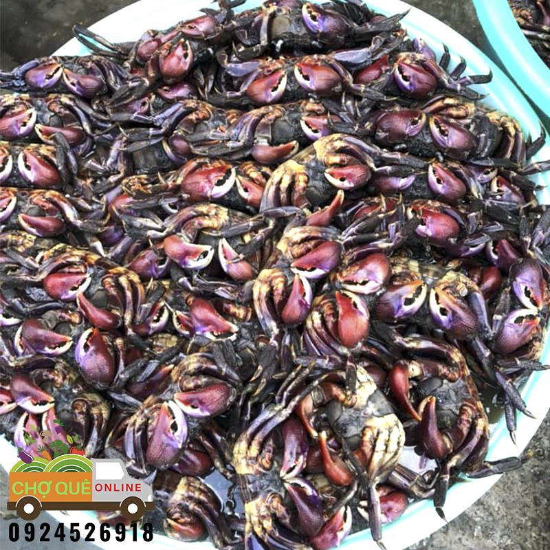 Ba kh&iacute;a trộn sẵn 